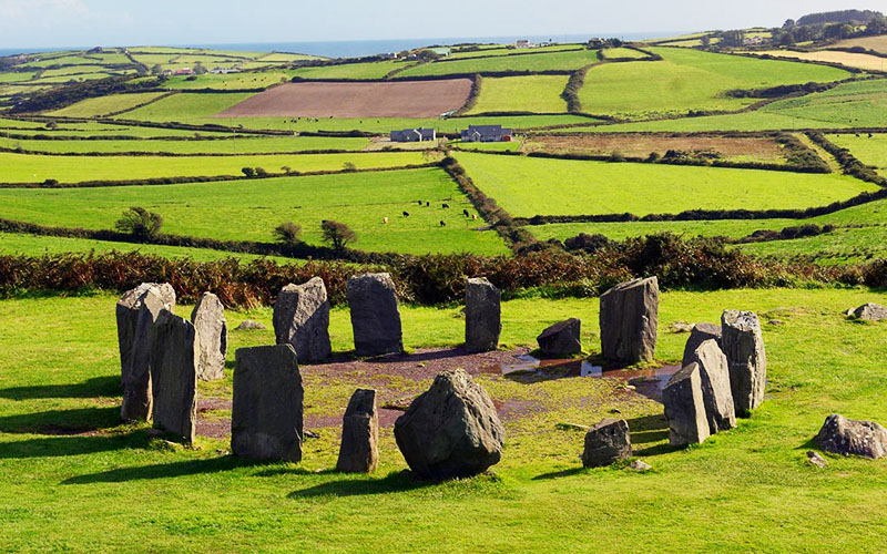 Jurusan terbaik di Irlandia