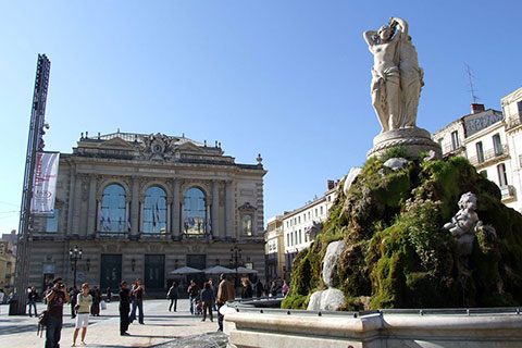 Student Life in Montpellier