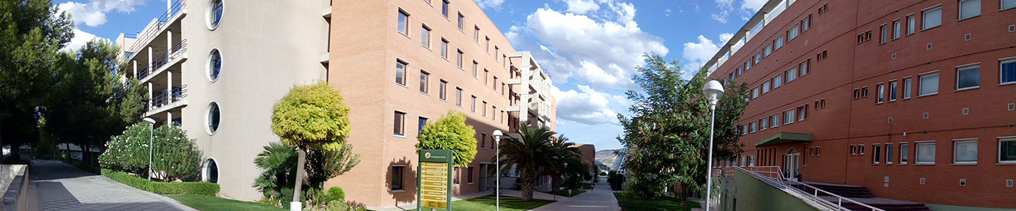 Study in Universidad de Jaén with Scholarship