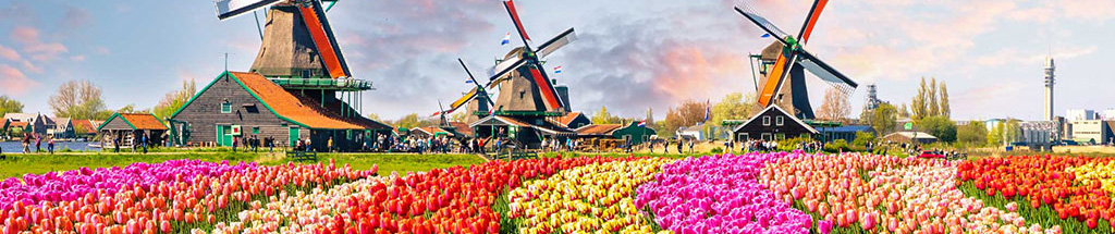 Study in The Netherlands