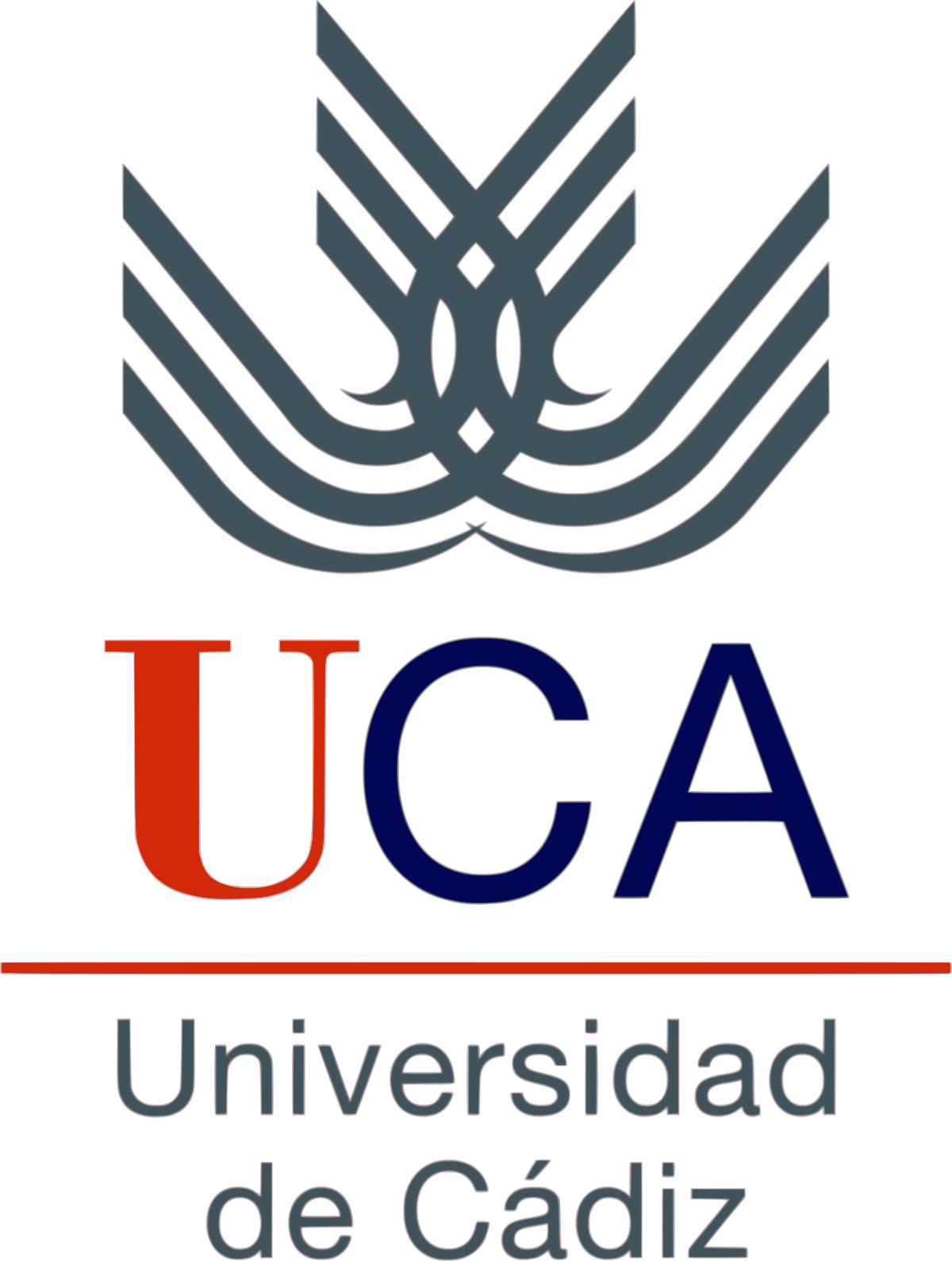 Study in University of Cádiz with Scholarship