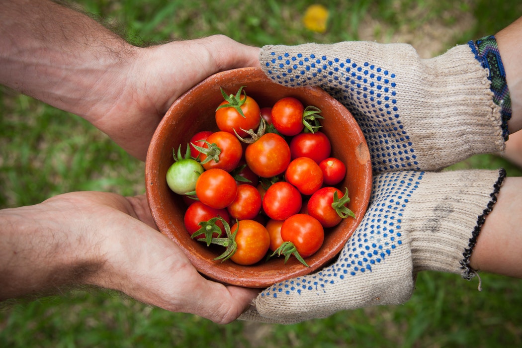 Flex your green thumbs with the Marshal Papworth Scholarship